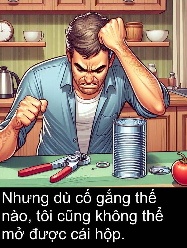 hộp: Nhưng dù cố gắng thế nào, tôi cũng không thể mở được cái hộp.