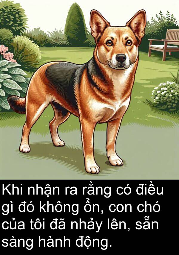 chó: Khi nhận ra rằng có điều gì đó không ổn, con chó của tôi đã nhảy lên, sẵn sàng hành động.