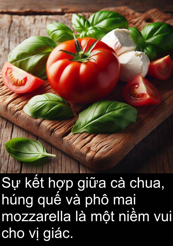 niềm: Sự kết hợp giữa cà chua, húng quế và phô mai mozzarella là một niềm vui cho vị giác.