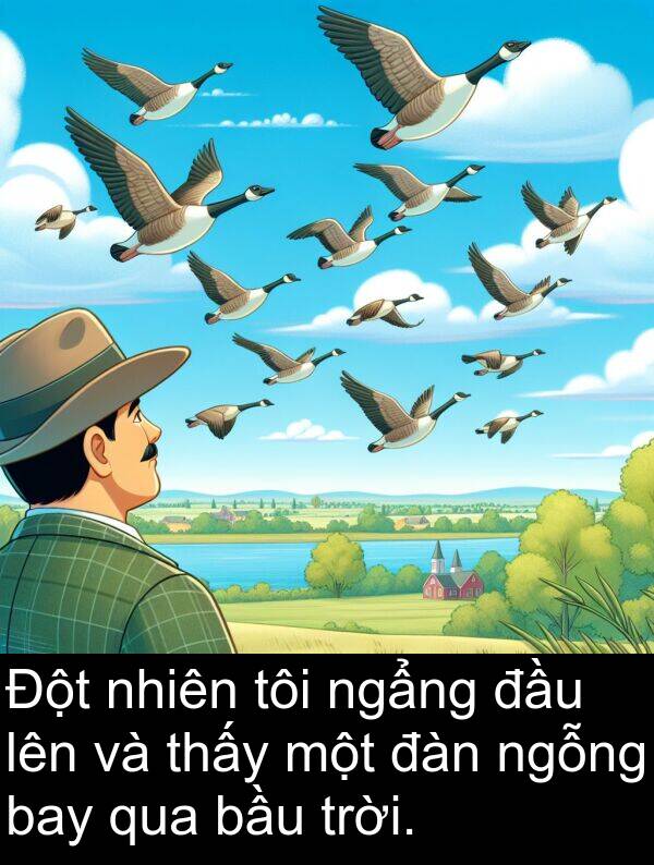 đàn: Đột nhiên tôi ngẩng đầu lên và thấy một đàn ngỗng bay qua bầu trời.