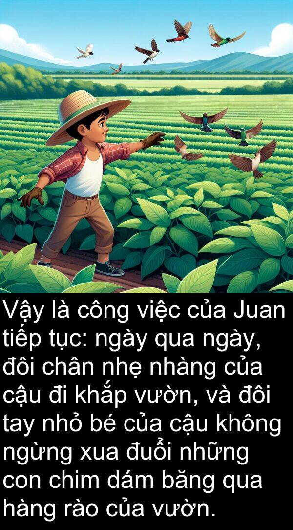 đuổi: Vậy là công việc của Juan tiếp tục: ngày qua ngày, đôi chân nhẹ nhàng của cậu đi khắp vườn, và đôi tay nhỏ bé của cậu không ngừng xua đuổi những con chim dám băng qua hàng rào của vườn.
