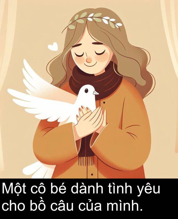 cho: Một cô bé dành tình yêu cho bồ câu của mình.