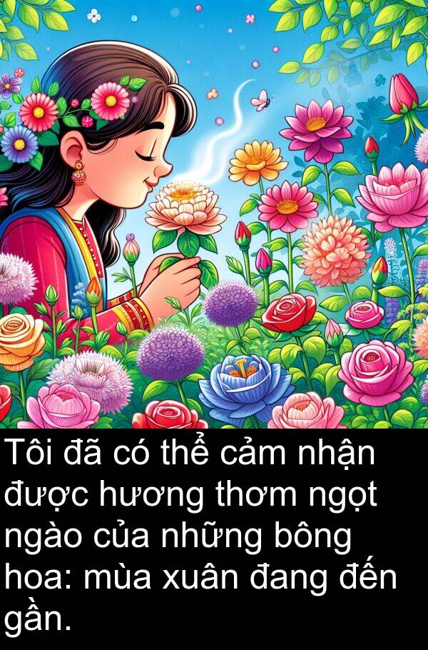 bông: Tôi đã có thể cảm nhận được hương thơm ngọt ngào của những bông hoa: mùa xuân đang đến gần.