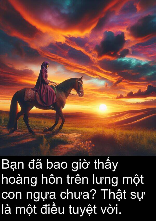 ngựa: Bạn đã bao giờ thấy hoàng hôn trên lưng một con ngựa chưa? Thật sự là một điều tuyệt vời.