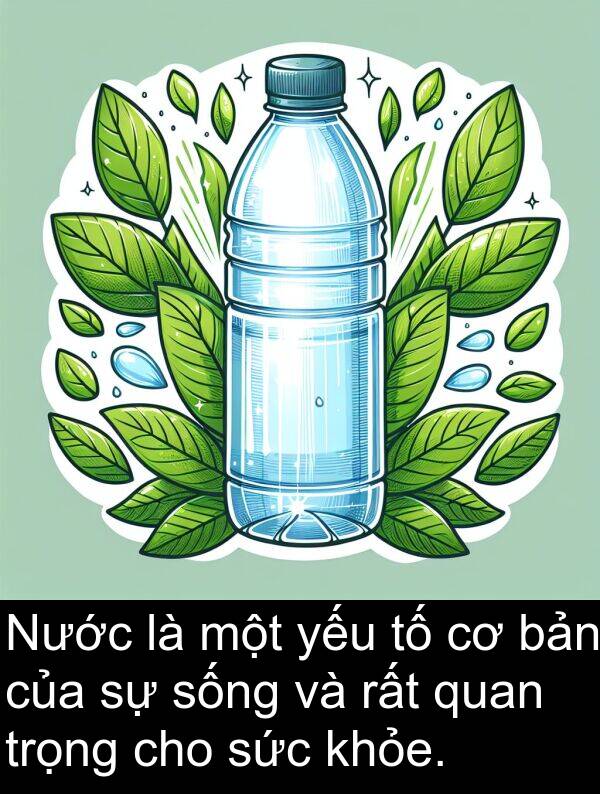 sức: Nước là một yếu tố cơ bản của sự sống và rất quan trọng cho sức khỏe.