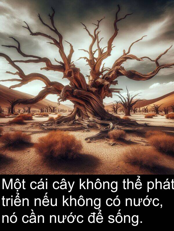 nếu: Một cái cây không thể phát triển nếu không có nước, nó cần nước để sống.