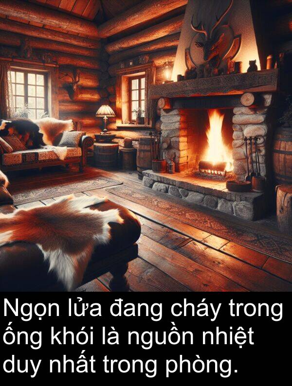 lửa: Ngọn lửa đang cháy trong ống khói là nguồn nhiệt duy nhất trong phòng.