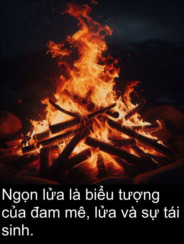 đam: Ngọn lửa là biểu tượng của đam mê, lửa và sự tái sinh.