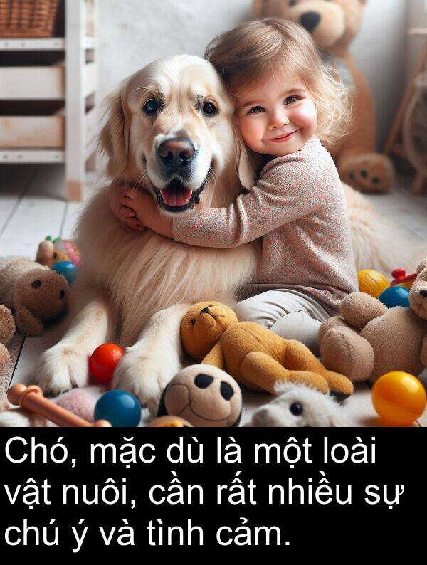 chú: Chó, mặc dù là một loài vật nuôi, cần rất nhiều sự chú ý và tình cảm.