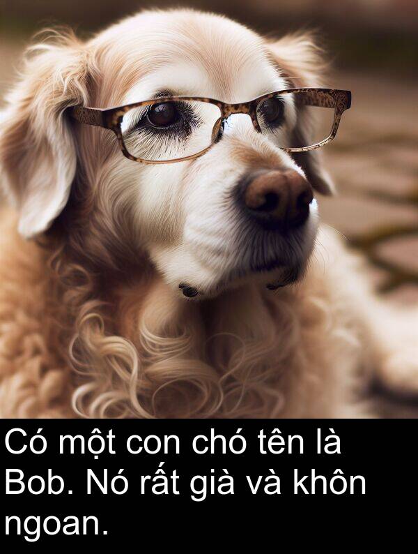 già: Có một con chó tên là Bob. Nó rất già và khôn ngoan.