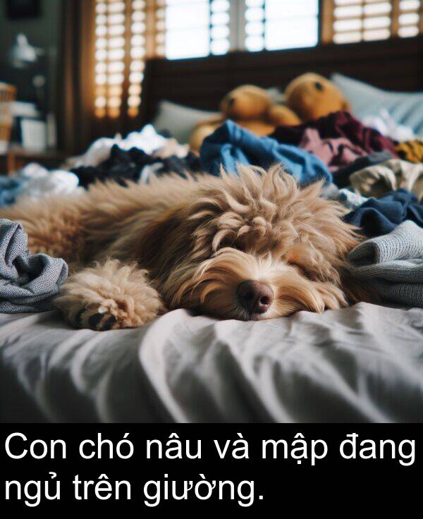 đang: Con chó nâu và mập đang ngủ trên giường.