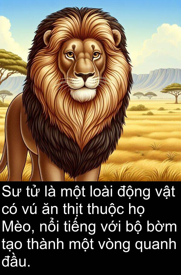 thịt: Sư tử là một loài động vật có vú ăn thịt thuộc họ Mèo, nổi tiếng với bộ bờm tạo thành một vòng quanh đầu.