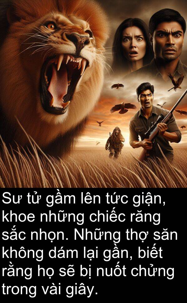 gầm: Sư tử gầm lên tức giận, khoe những chiếc răng sắc nhọn. Những thợ săn không dám lại gần, biết rằng họ sẽ bị nuốt chửng trong vài giây.