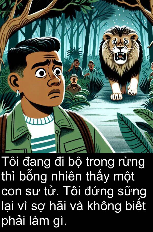 đứng: Tôi đang đi bộ trong rừng thì bỗng nhiên thấy một con sư tử. Tôi đứng sững lại vì sợ hãi và không biết phải làm gì.