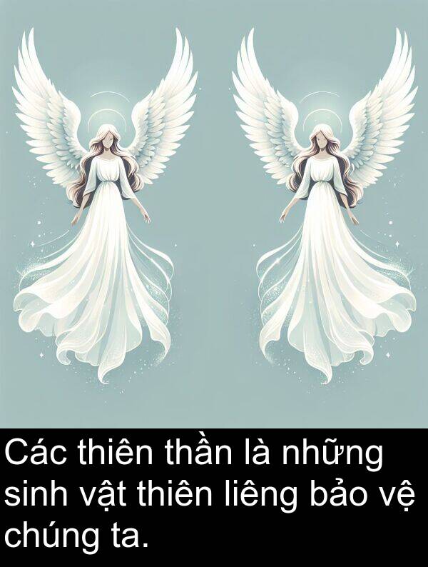 thiên: Các thiên thần là những sinh vật thiên liêng bảo vệ chúng ta.