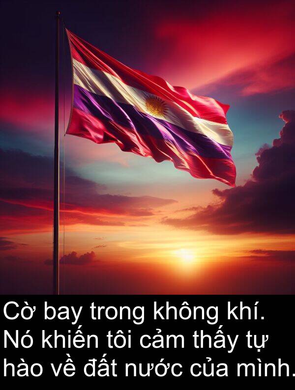 hào: Cờ bay trong không khí. Nó khiến tôi cảm thấy tự hào về đất nước của mình.
