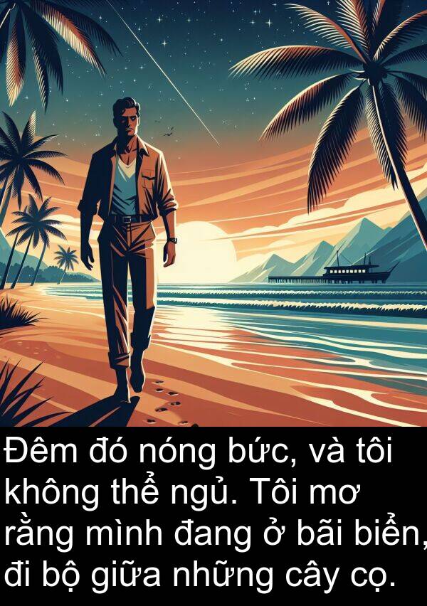 nóng: Đêm đó nóng bức, và tôi không thể ngủ. Tôi mơ rằng mình đang ở bãi biển, đi bộ giữa những cây cọ.