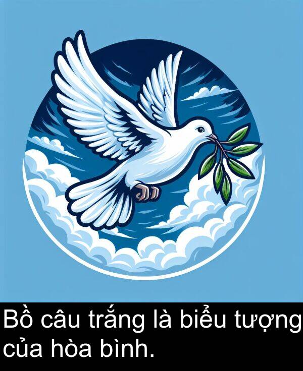 hòa: Bồ câu trắng là biểu tượng của hòa bình.