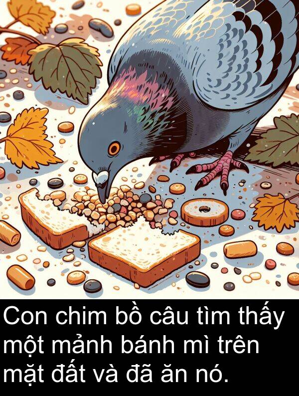 bánh: Con chim bồ câu tìm thấy một mảnh bánh mì trên mặt đất và đã ăn nó.