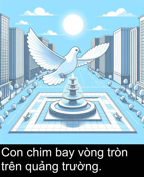 quảng: Con chim bay vòng tròn trên quảng trường.