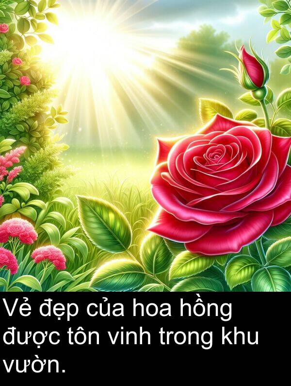 đẹp: Vẻ đẹp của hoa hồng được tôn vinh trong khu vườn.