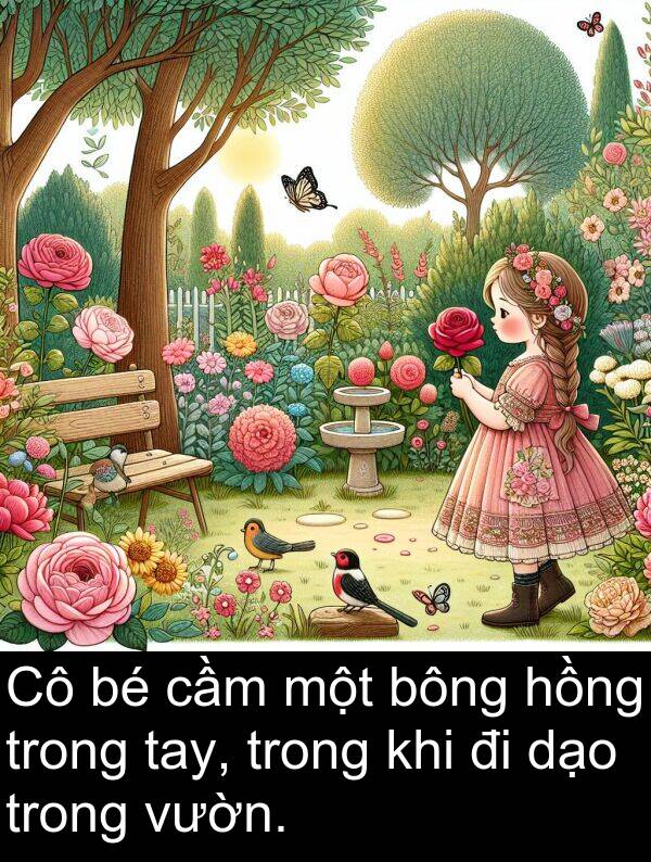 bông: Cô bé cầm một bông hồng trong tay, trong khi đi dạo trong vườn.