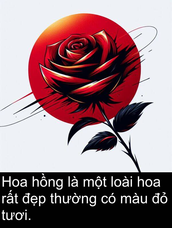 màu: Hoa hồng là một loài hoa rất đẹp thường có màu đỏ tươi.