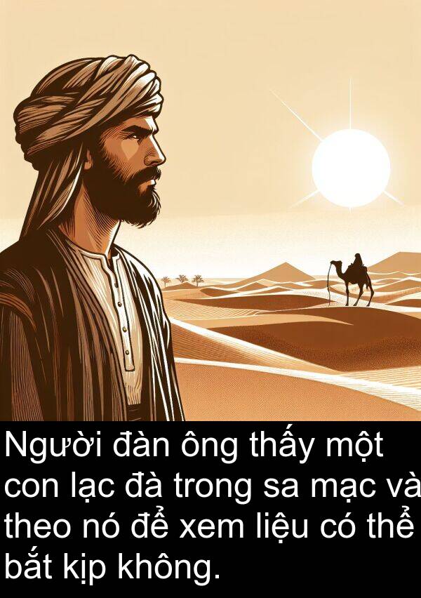 liệu: Người đàn ông thấy một con lạc đà trong sa mạc và theo nó để xem liệu có thể bắt kịp không.