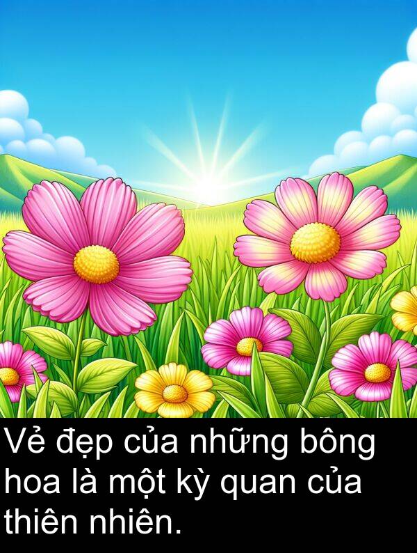bông: Vẻ đẹp của những bông hoa là một kỳ quan của thiên nhiên.