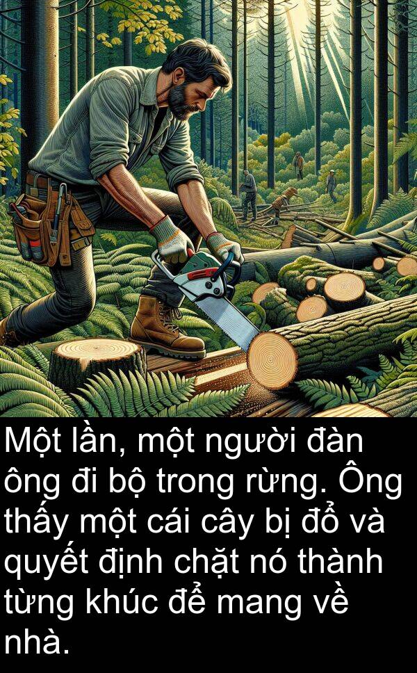 lần: Một lần, một người đàn ông đi bộ trong rừng. Ông thấy một cái cây bị đổ và quyết định chặt nó thành từng khúc để mang về nhà.