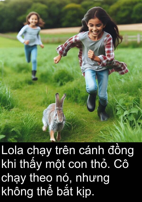 thỏ: Lola chạy trên cánh đồng khi thấy một con thỏ. Cô chạy theo nó, nhưng không thể bắt kịp.