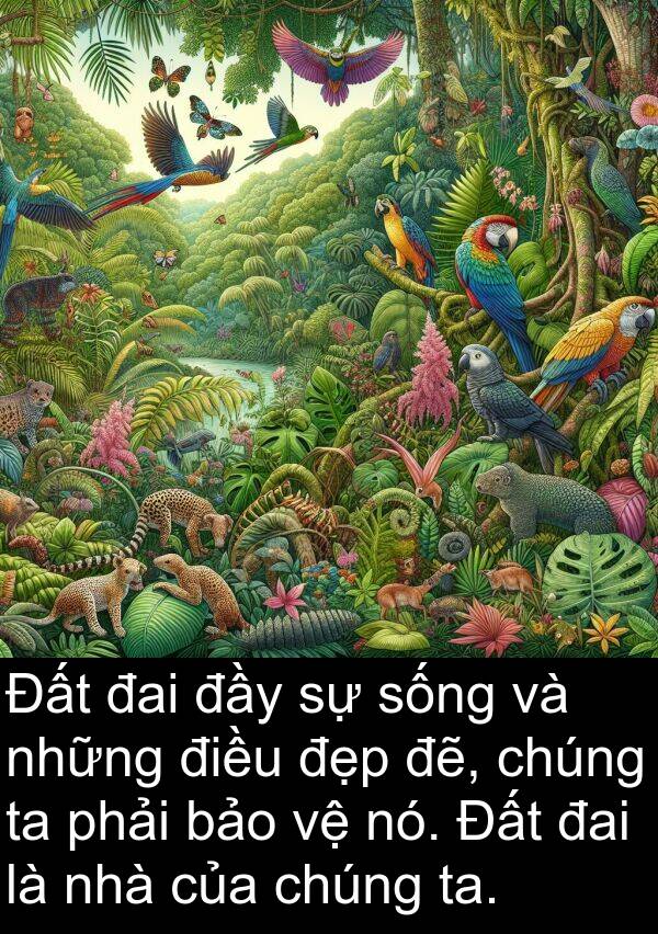 đai: Đất đai đầy sự sống và những điều đẹp đẽ, chúng ta phải bảo vệ nó. Đất đai là nhà của chúng ta.