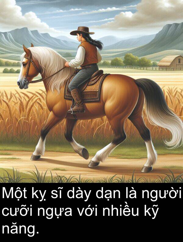 nhiều: Một kỵ sĩ dày dạn là người cưỡi ngựa với nhiều kỹ năng.