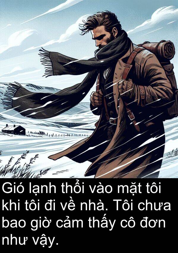 giờ: Gió lạnh thổi vào mặt tôi khi tôi đi về nhà. Tôi chưa bao giờ cảm thấy cô đơn như vậy.