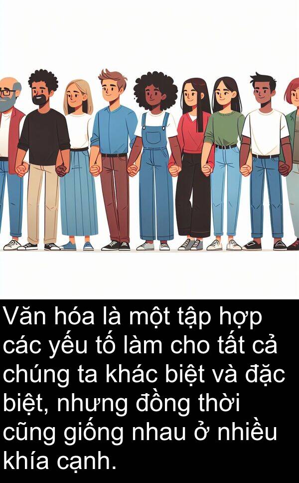giống: Văn hóa là một tập hợp các yếu tố làm cho tất cả chúng ta khác biệt và đặc biệt, nhưng đồng thời cũng giống nhau ở nhiều khía cạnh.