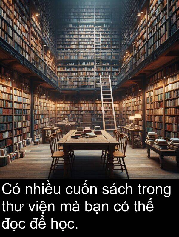 viện: Có nhiều cuốn sách trong thư viện mà bạn có thể đọc để học.