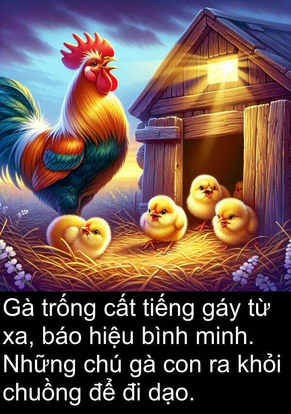 trống: Gà trống cất tiếng gáy từ xa, báo hiệu bình minh. Những chú gà con ra khỏi chuồng để đi dạo.