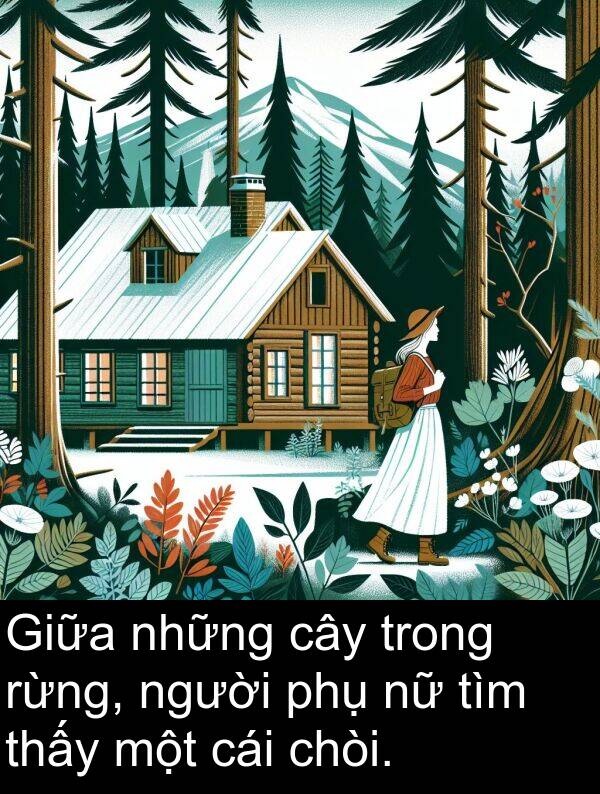 rừng: Giữa những cây trong rừng, người phụ nữ tìm thấy một cái chòi.