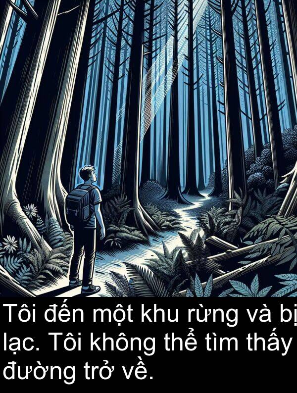 rừng: Tôi đến một khu rừng và bị lạc. Tôi không thể tìm thấy đường trở về.