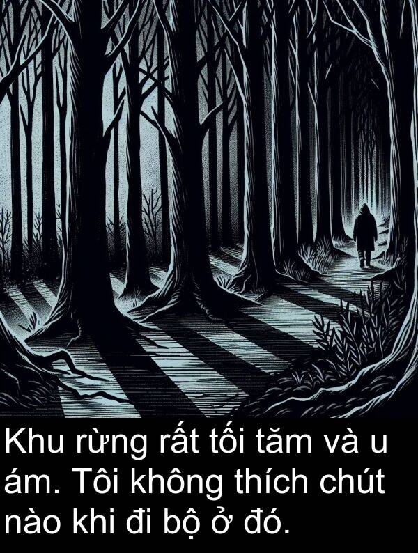 đó: Khu rừng rất tối tăm và u ám. Tôi không thích chút nào khi đi bộ ở đó.