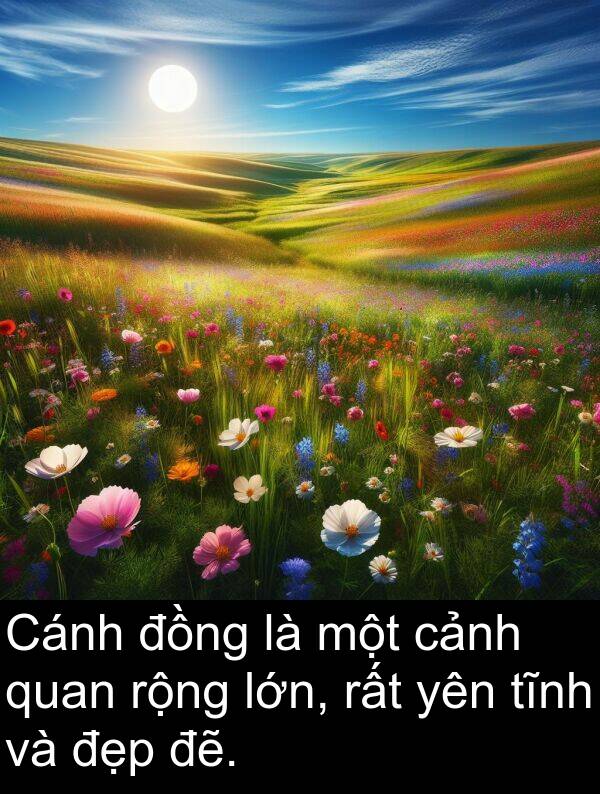 đẽ: Cánh đồng là một cảnh quan rộng lớn, rất yên tĩnh và đẹp đẽ.