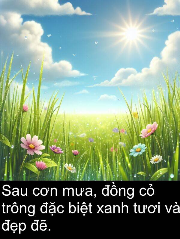 biệt: Sau cơn mưa, đồng cỏ trông đặc biệt xanh tươi và đẹp đẽ.