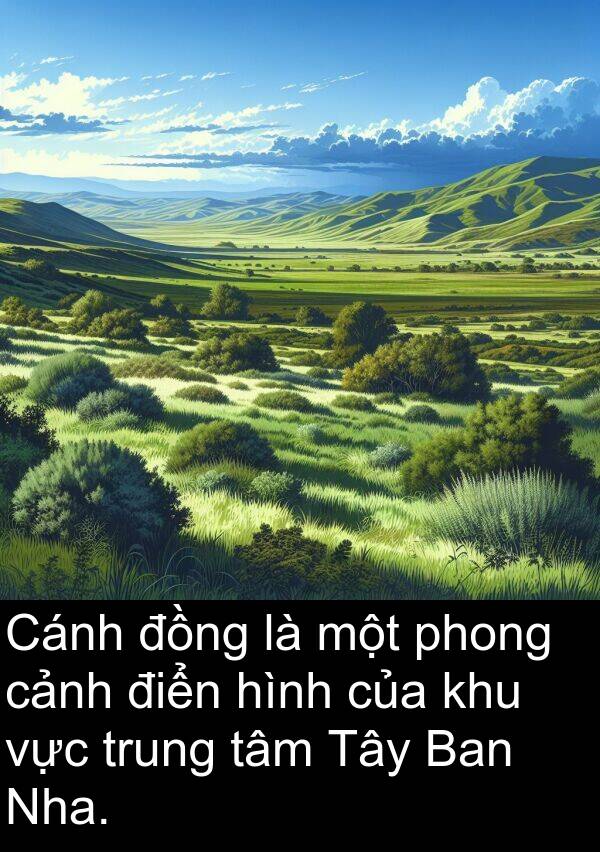 điển: Cánh đồng là một phong cảnh điển hình của khu vực trung tâm Tây Ban Nha.