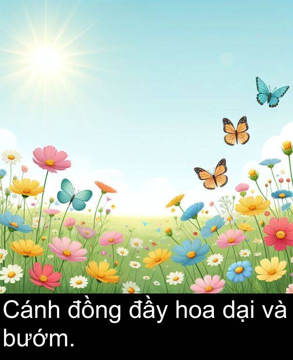 đầy: Cánh đồng đầy hoa dại và bướm.