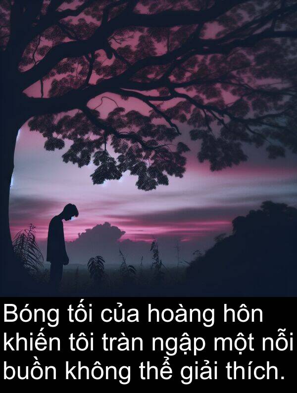 tràn: Bóng tối của hoàng hôn khiến tôi tràn ngập một nỗi buồn không thể giải thích.