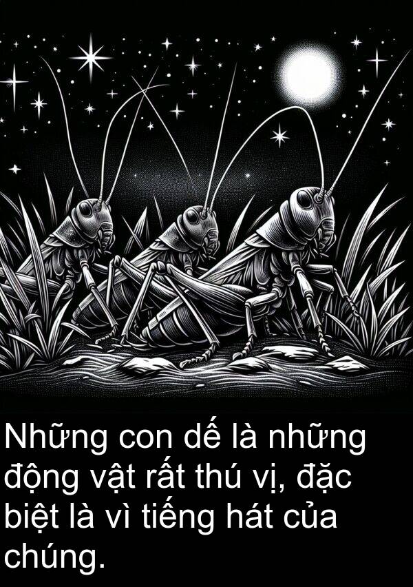 biệt: Những con dế là những động vật rất thú vị, đặc biệt là vì tiếng hát của chúng.