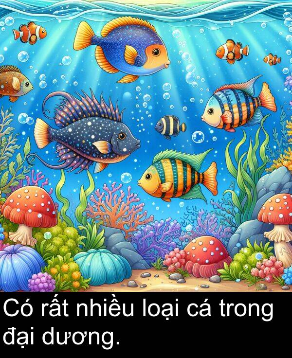 đại: Có rất nhiều loại cá trong đại dương.