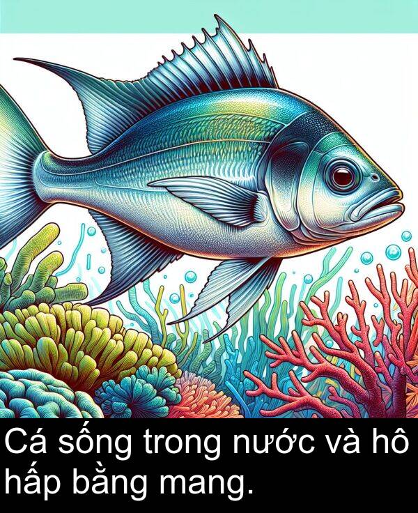 sống: Cá sống trong nước và hô hấp bằng mang.