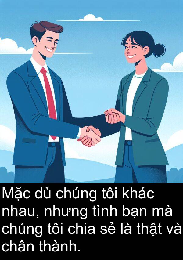 chia: Mặc dù chúng tôi khác nhau, nhưng tình bạn mà chúng tôi chia sẻ là thật và chân thành.