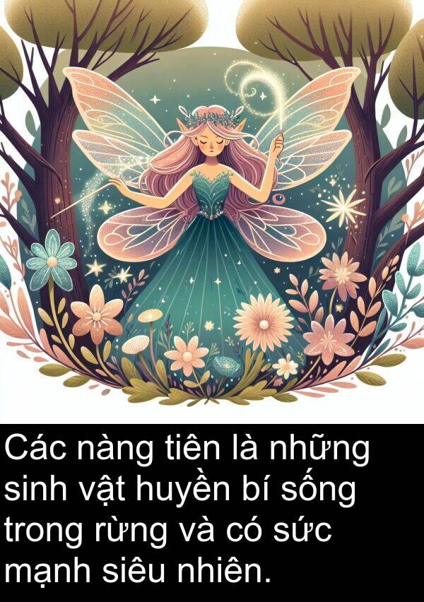 huyền: Các nàng tiên là những sinh vật huyền bí sống trong rừng và có sức mạnh siêu nhiên.